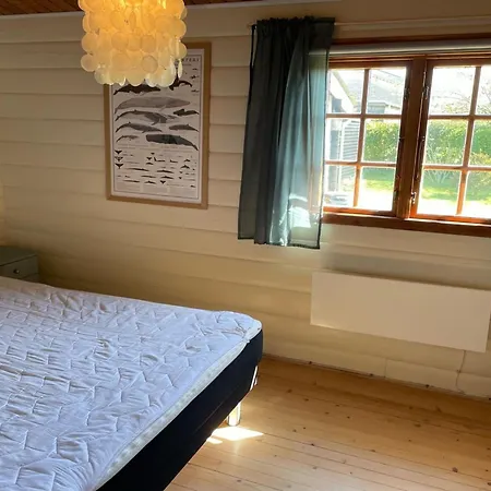 Reimund - 400m From The Sea By Interhome *